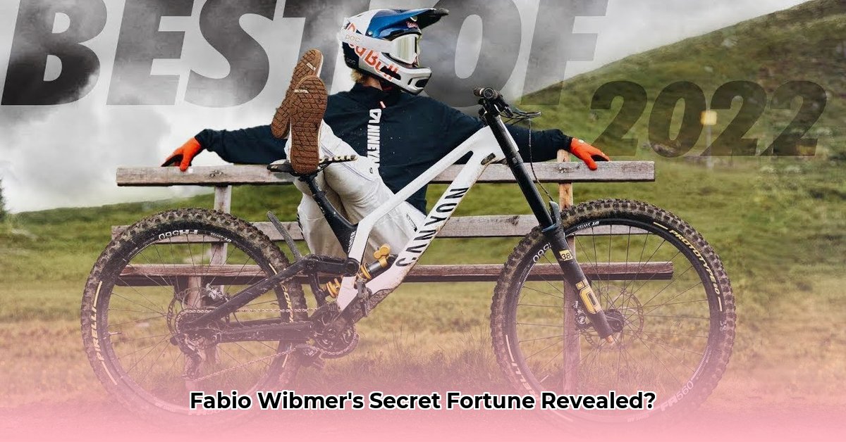fabio-wibmer-net-worth